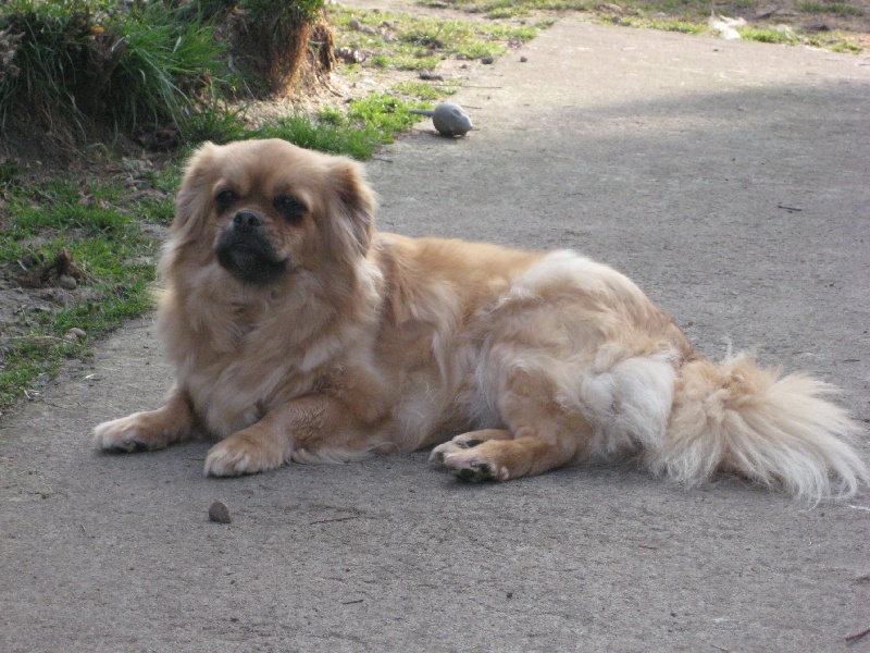 Börté de la goutte de bord