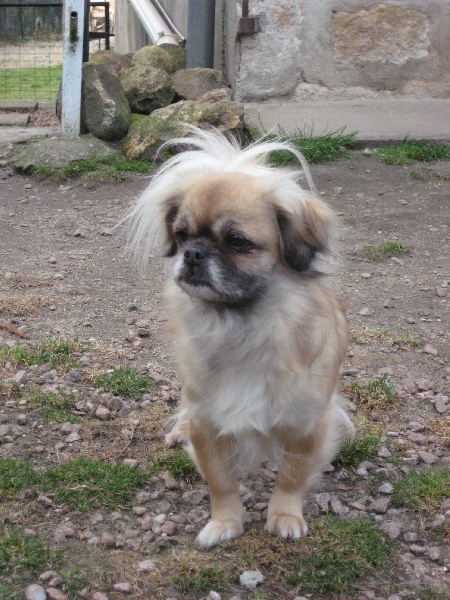 Serena de la goutte de bord